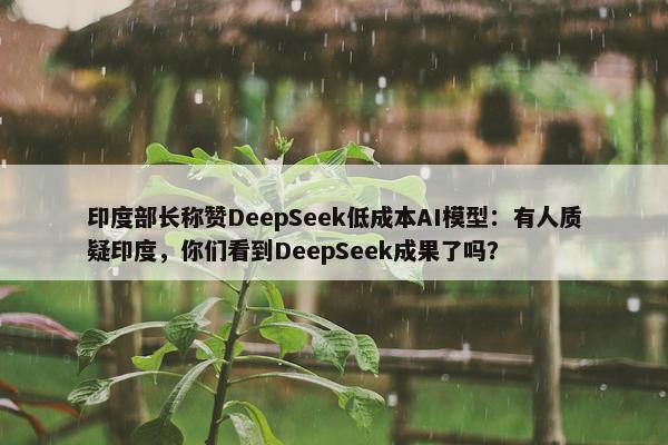 印度部长称赞DeepSeek低成本AI模型：有人质疑印度，你们看到DeepSeek成果了吗？