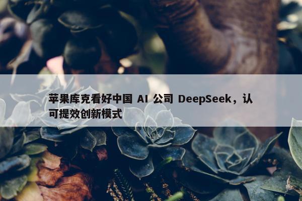 苹果库克看好中国 AI 公司 DeepSeek，认可提效创新模式