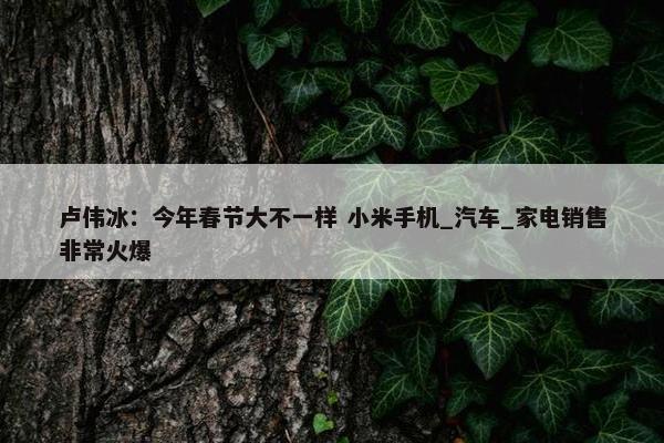 卢伟冰：今年春节大不一样 小米手机_汽车_家电销售非常火爆