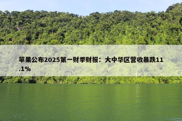 苹果公布2025第一财季财报：大中华区营收暴跌11.1%