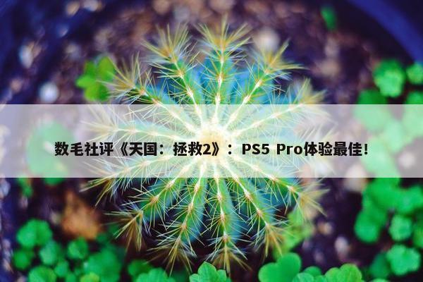 数毛社评《天国：拯救2》：PS5 Pro体验最佳！