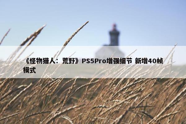 《怪物猎人：荒野》PS5Pro增强细节 新增40帧模式