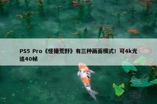 PS5 Pro《怪猎荒野》有三种画面模式！可4k光追40帧