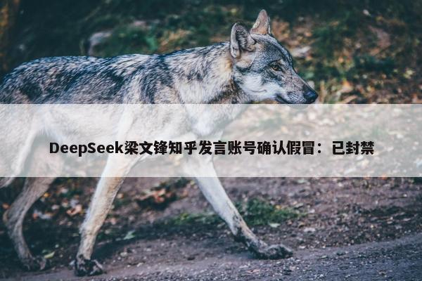 DeepSeek梁文锋知乎发言账号确认假冒：已封禁