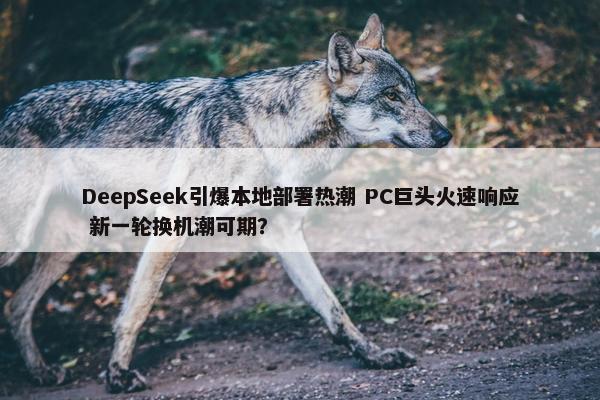 DeepSeek引爆本地部署热潮 PC巨头火速响应 新一轮换机潮可期？