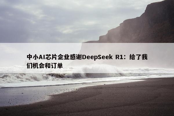 中小AI芯片企业感谢DeepSeek R1：给了我们机会和订单