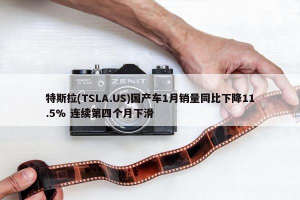 特斯拉(TSLA.US)国产车1月销量同比下降11.5% 连续第四个月下滑