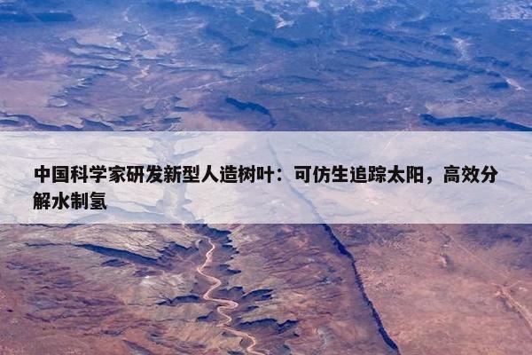 中国科学家研发新型人造树叶：可仿生追踪太阳，高效分解水制氢