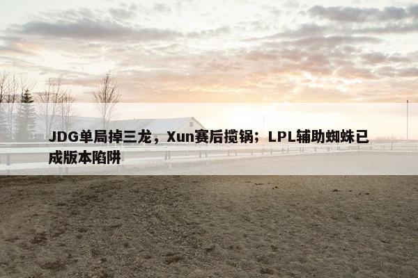 JDG单局掉三龙，Xun赛后揽锅；LPL辅助蜘蛛已成版本陷阱