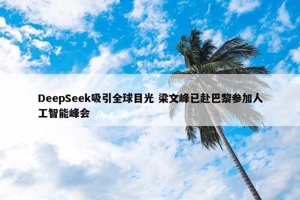 DeepSeek吸引全球目光 梁文峰已赴巴黎参加人工智能峰会