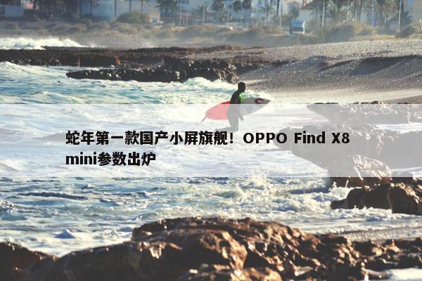 蛇年第一款国产小屏旗舰！OPPO Find X8 mini参数出炉