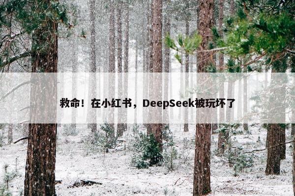 救命！在小红书，DeepSeek被玩坏了