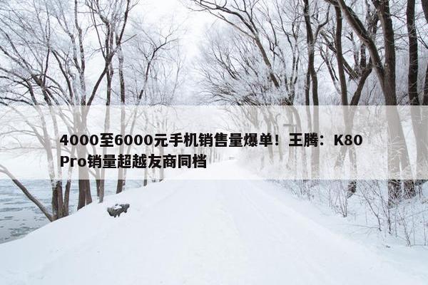 4000至6000元手机销售量爆单！王腾：K80 Pro销量超越友商同档