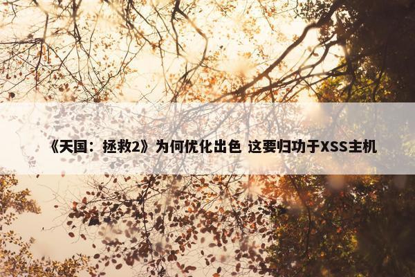 《天国：拯救2》为何优化出色 这要归功于XSS主机