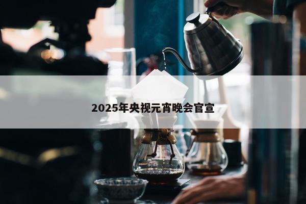 2025年央视元宵晚会官宣