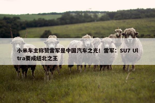 小米车主称赞雷军是中国汽车之光！雷军：SU7 Ultra要成纽北之王