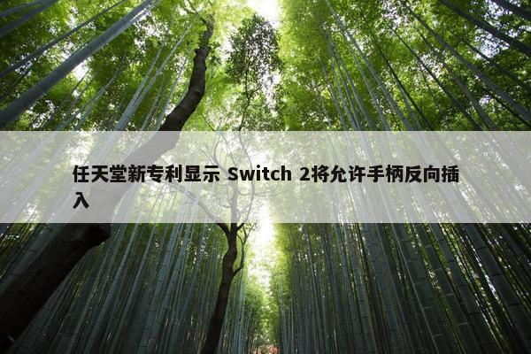 任天堂新专利显示 Switch 2将允许手柄反向插入