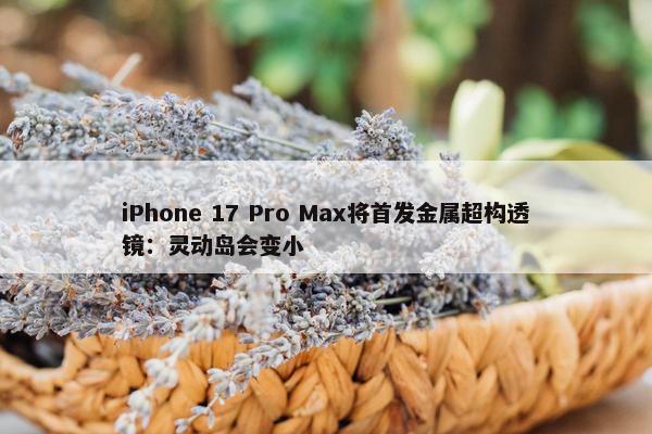 iPhone 17 Pro Max将首发金属超构透镜：灵动岛会变小