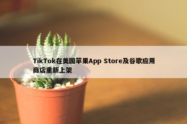 TikTok在美国苹果App Store及谷歌应用商店重新上架