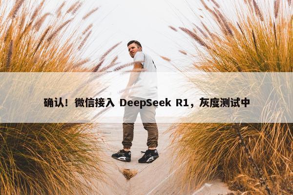 确认！微信接入 DeepSeek R1，灰度测试中