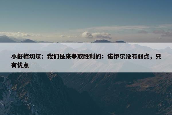 小舒梅切尔：我们是来争取胜利的；诺伊尔没有弱点，只有优点