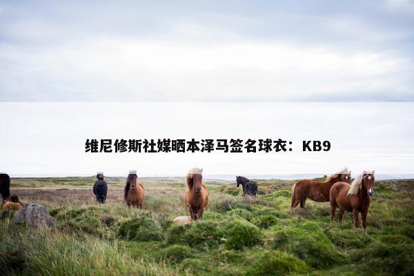 维尼修斯社媒晒本泽马签名球衣：KB9