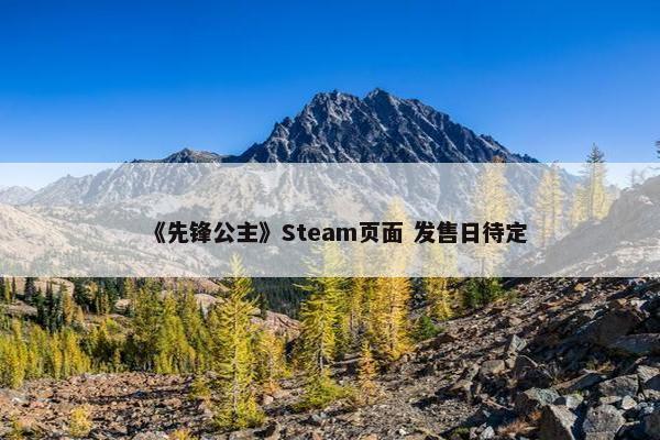 《先锋公主》Steam页面 发售日待定