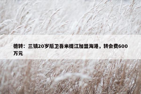 德转：三镇20岁后卫吾米提江加盟海港，转会费600万元