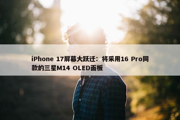 iPhone 17屏幕大跃迁：将采用16 Pro同款的三星M14 OLED面板