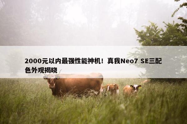 2000元以内最强性能神机！真我Neo7 SE三配色外观揭晓