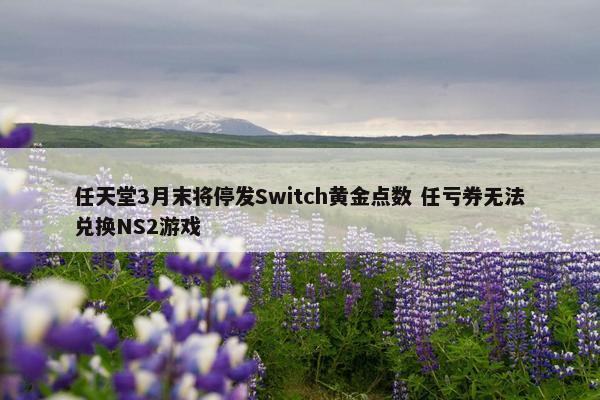 任天堂3月末将停发Switch黄金点数 任亏券无法兑换NS2游戏