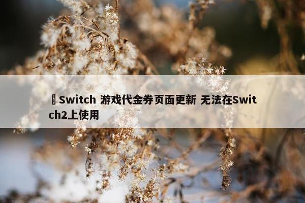  Switch 游戏代金券页面更新 无法在Switch2上使用