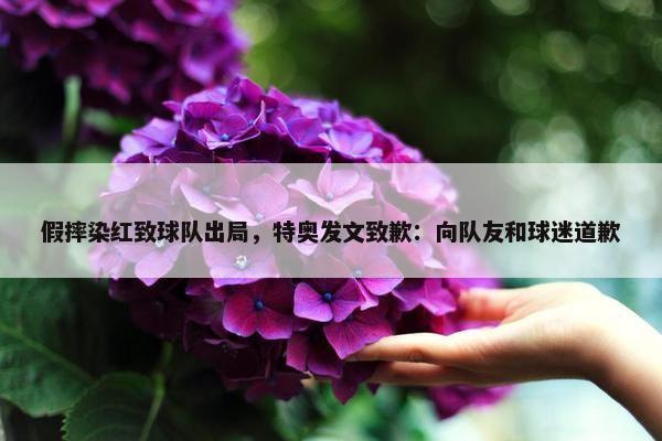 假摔染红致球队出局，特奥发文致歉：向队友和球迷道歉