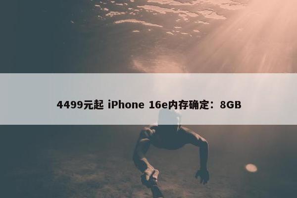 4499元起 iPhone 16e内存确定：8GB