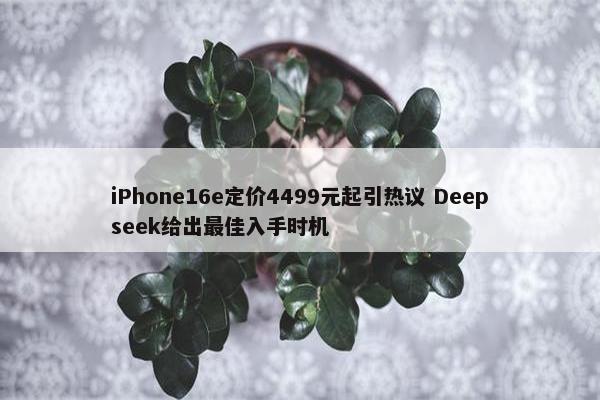 iPhone16e定价4499元起引热议 Deepseek给出最佳入手时机