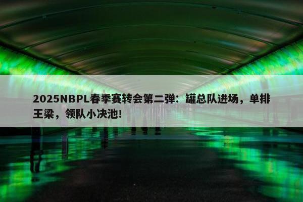 2025NBPL春季赛转会第二弹：罐总队进场，单排王梁，领队小决池！