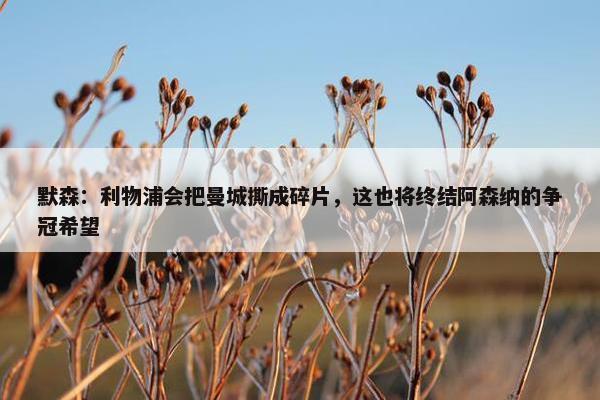 默森：利物浦会把曼城撕成碎片，这也将终结阿森纳的争冠希望