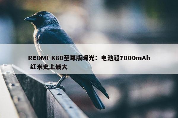 REDMI K80至尊版曝光：电池超7000mAh 红米史上最大