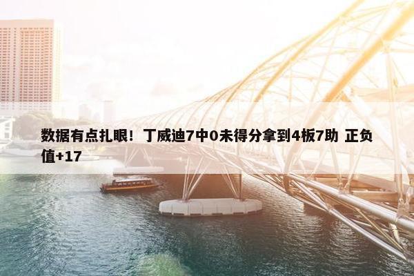 数据有点扎眼！丁威迪7中0未得分拿到4板7助 正负值+17