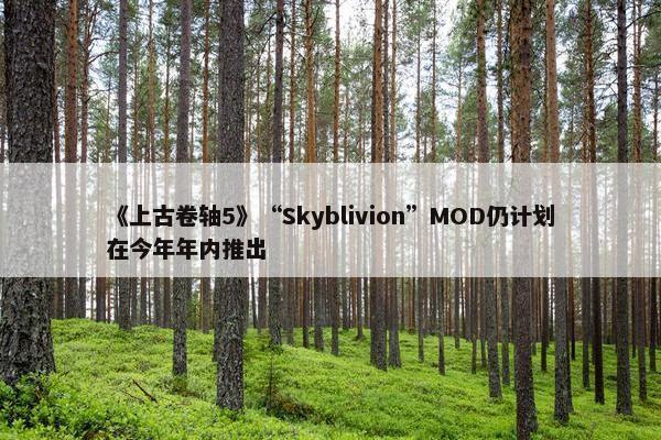 《上古卷轴5》“Skyblivion”MOD仍计划在今年年内推出