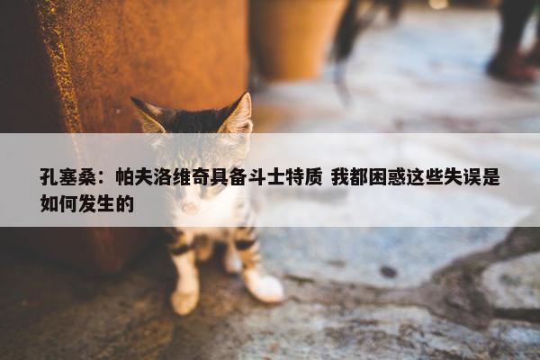 孔塞桑：帕夫洛维奇具备斗士特质 我都困惑这些失误是如何发生的