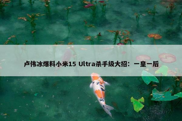 卢伟冰爆料小米15 Ultra杀手级大招：一皇一后