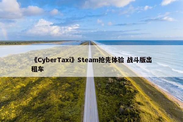 《CyberTaxi》Steam抢先体验 战斗版出租车