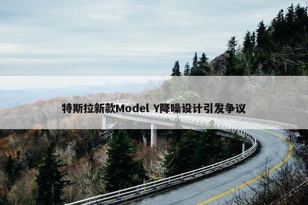 特斯拉新款Model Y降噪设计引发争议