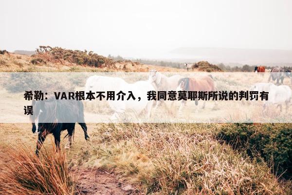 希勒：VAR根本不用介入，我同意莫耶斯所说的判罚有误