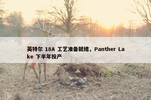 英特尔 18A 工艺准备就绪，Panther Lake 下半年投产