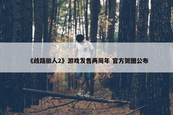 《歧路旅人2》游戏发售两周年 官方贺图公布