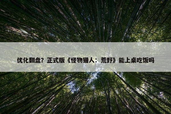 优化翻盘？正式版《怪物猎人：荒野》能上桌吃饭吗