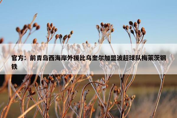 官方：前青岛西海岸外援比乌奎尔加盟波超球队梅莱茨钢铁