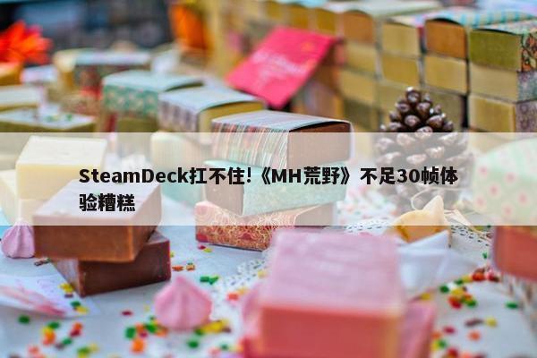 SteamDeck扛不住!《MH荒野》不足30帧体验糟糕